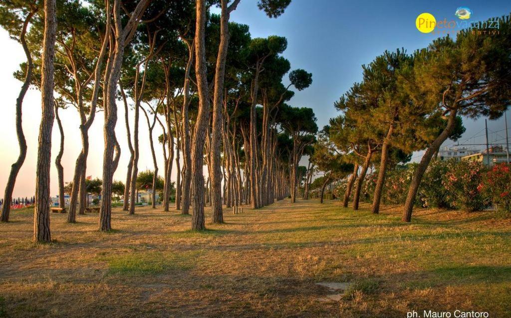 Myconos C2 - Pineto Vacanza Exterior foto